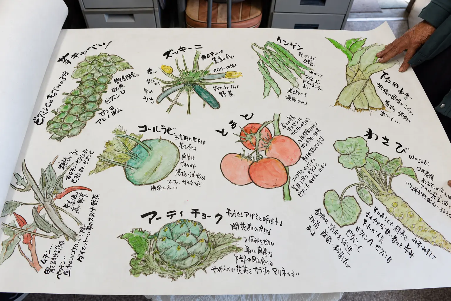 入江さんが野菜の特徴を描いた手描きのイラスト